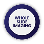 WholeSlideImaging